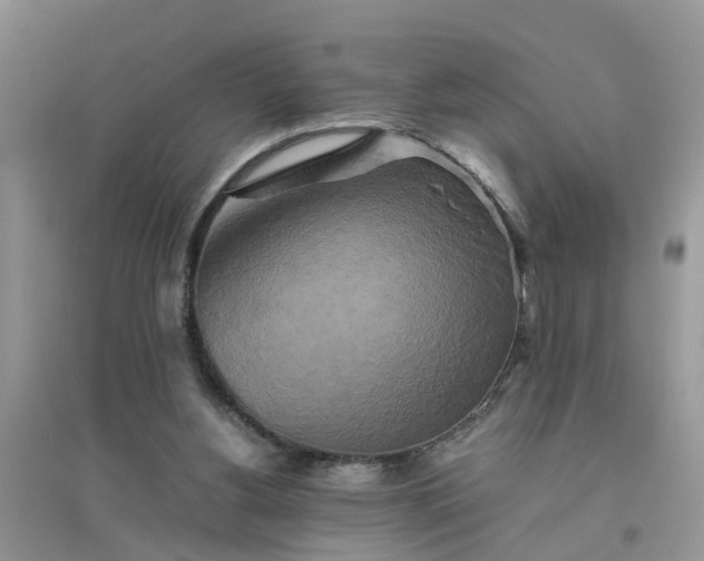 X0000096400156200802071608