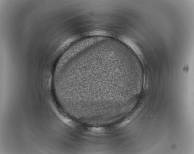 X0000096400157200802071608