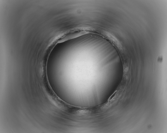 X0000096400158200802071608