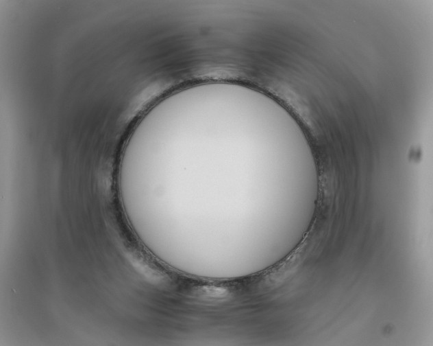 X0000096400159200802071608