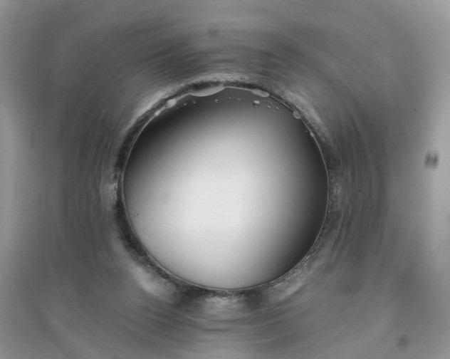 X0000096400160200802071608