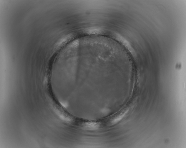 X0000096400161200802071608