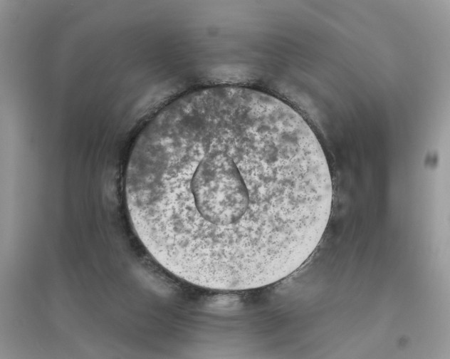 X0000096400162200802071608