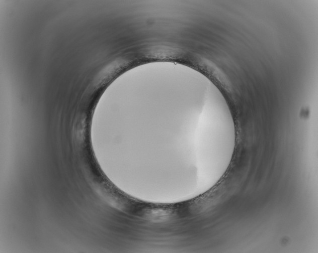 X0000096400163200802071608