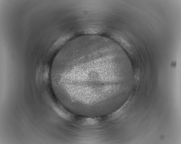 X0000096400166200802071609