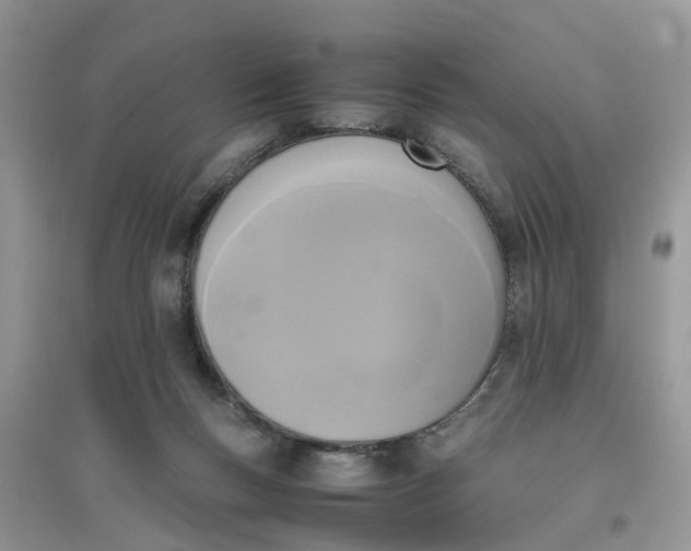 X0000096400167200802071609