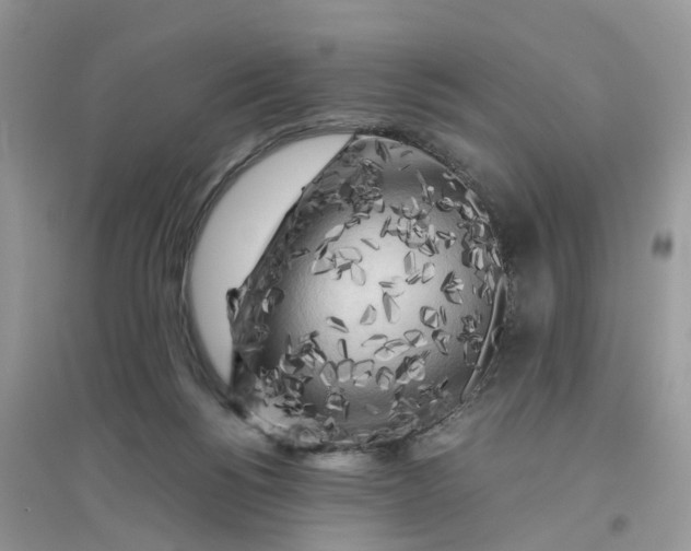 X0000096400168200802071609