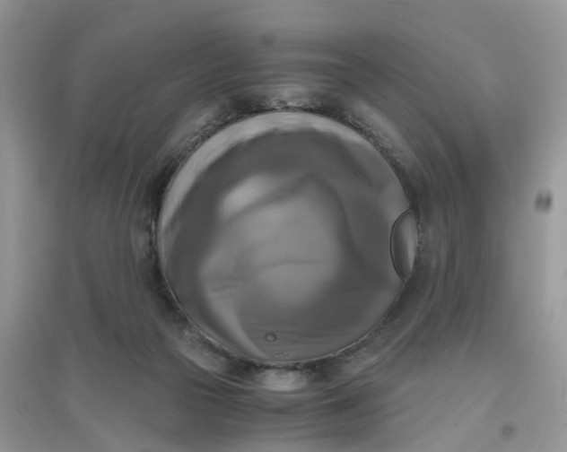 X0000096400169200802071609