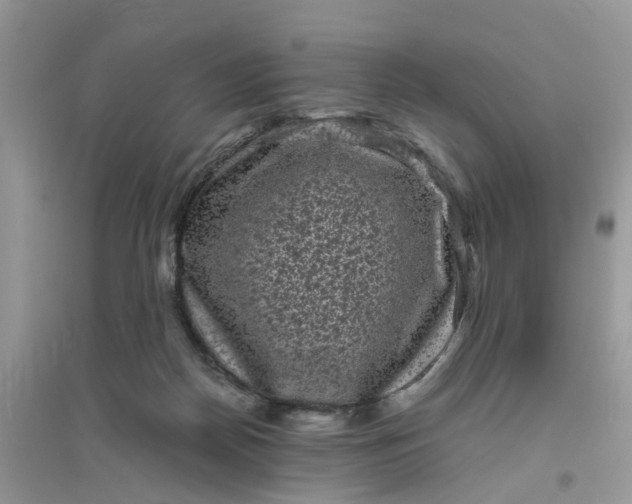 X0000096400170200802071609