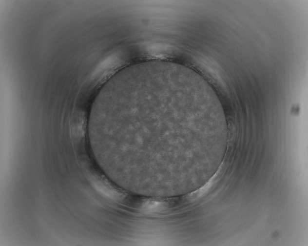 X0000096400174200802071609