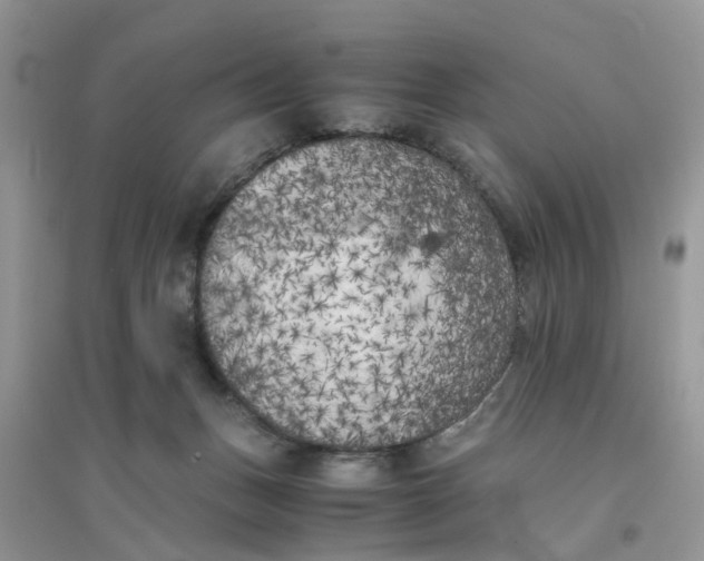 X0000096400175200802071609