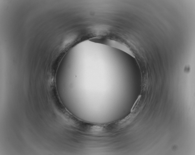 X0000096400176200802071609