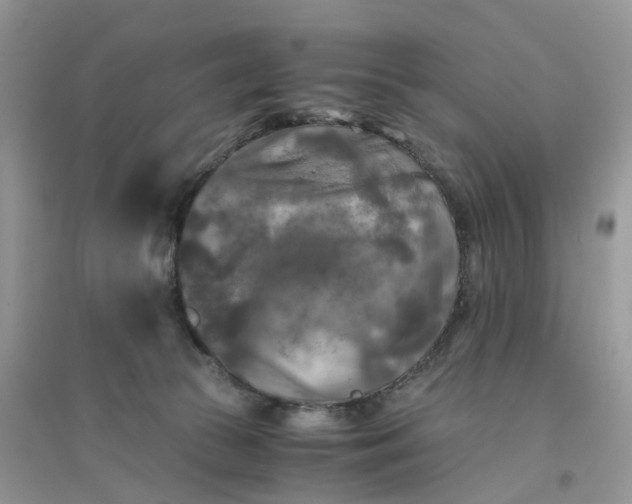 X0000096400177200802071609