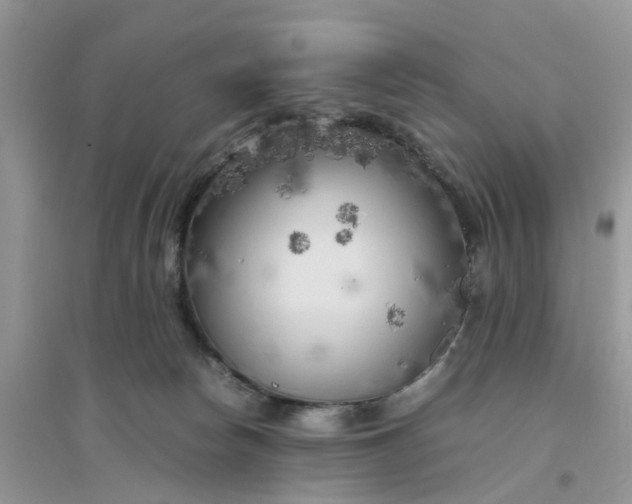 X0000096400178200802071609