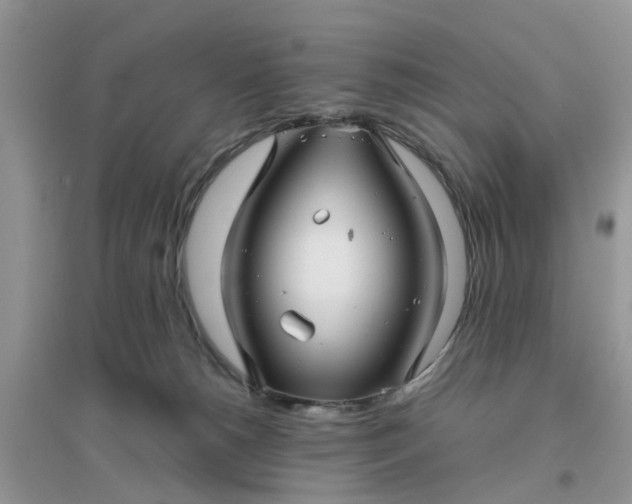 X0000096400180200802071609