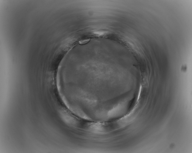 X0000096400182200802071609