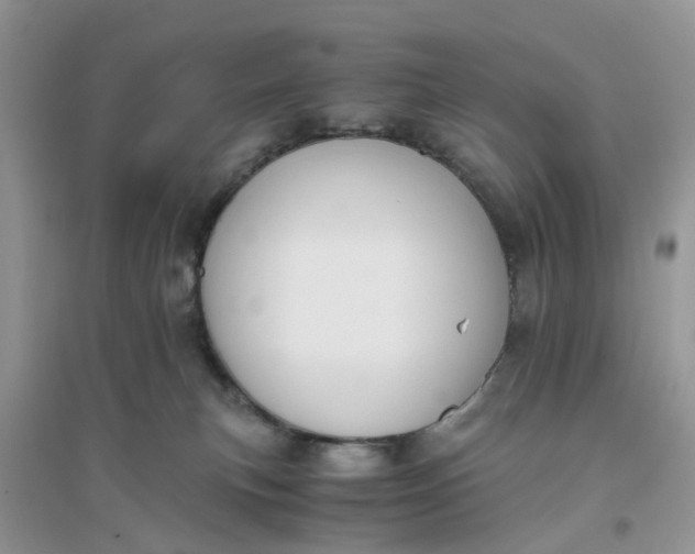 X0000096400183200802071609