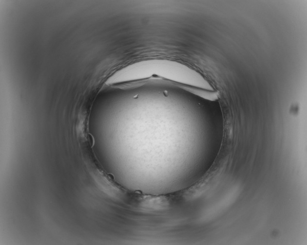 X0000096400185200802071609