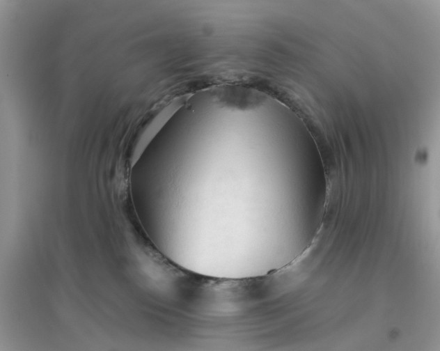 X0000096400186200802071609