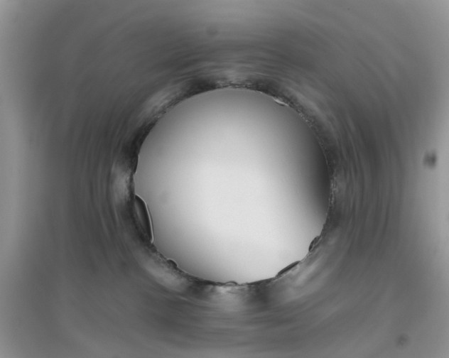 X0000096400188200802071609