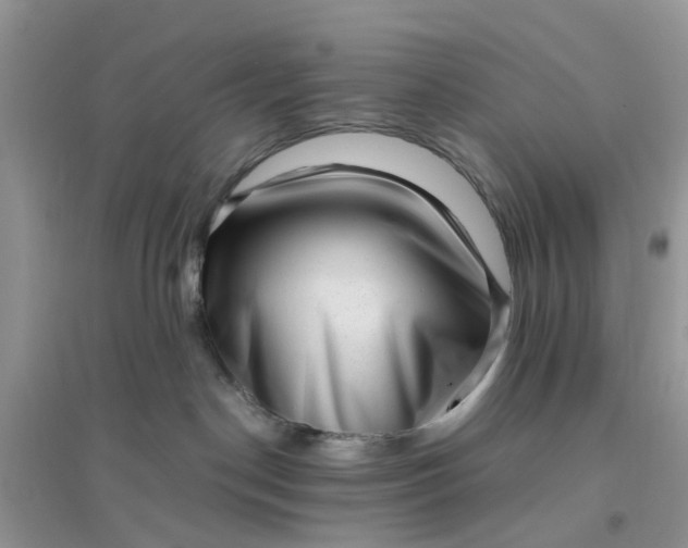 X0000096400190200802071609