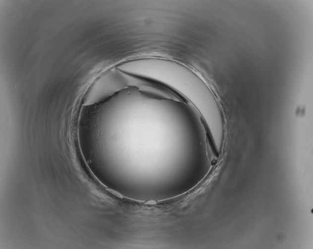 X0000096400193200802071608