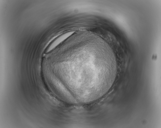 X0000096400194200802071608