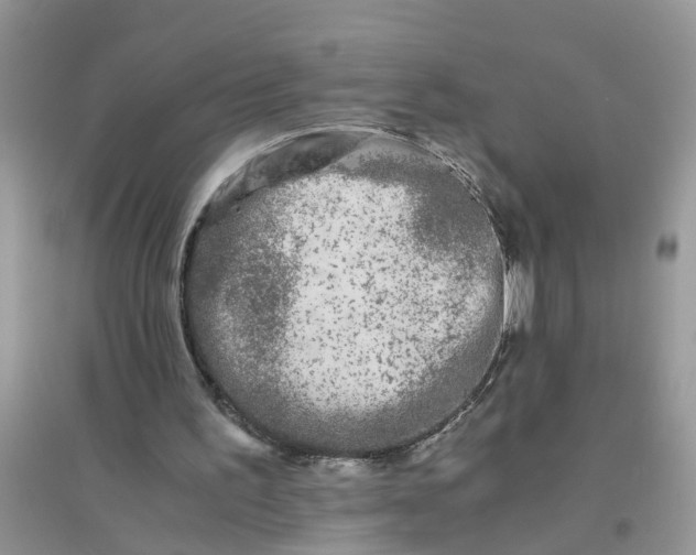 X0000096400195200802071608