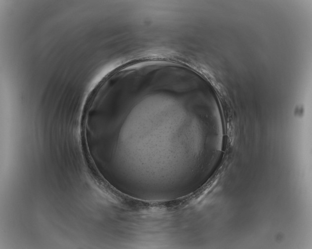 X0000096400196200802071608