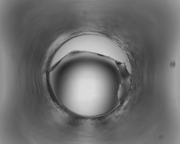 X0000096400197200802071608