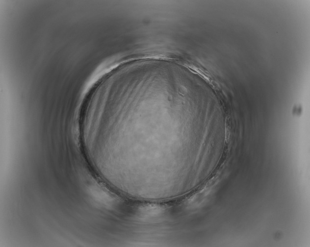 X0000096400198200802071608