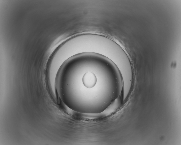 X0000096400199200802071608