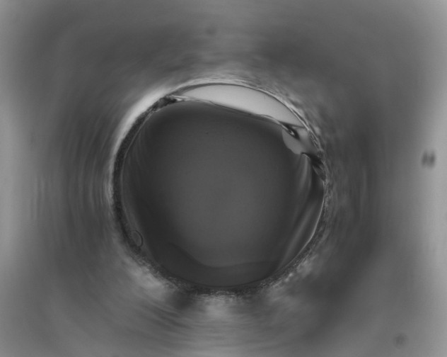 X0000096400200200802071608