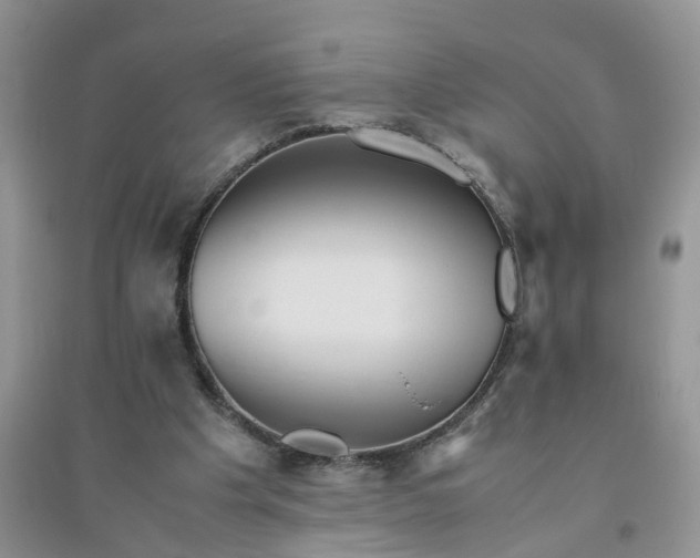 X0000096400201200802071608