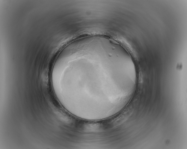 X0000096400202200802071608