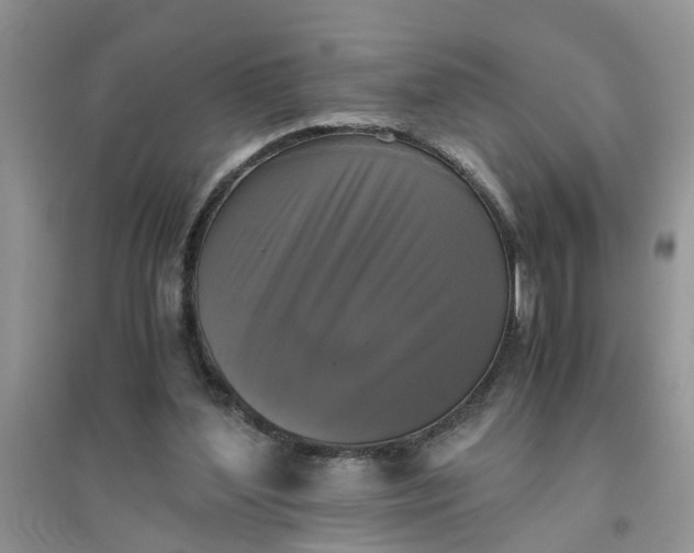 X0000096400204200802071608