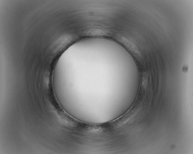 X0000096400206200802071608