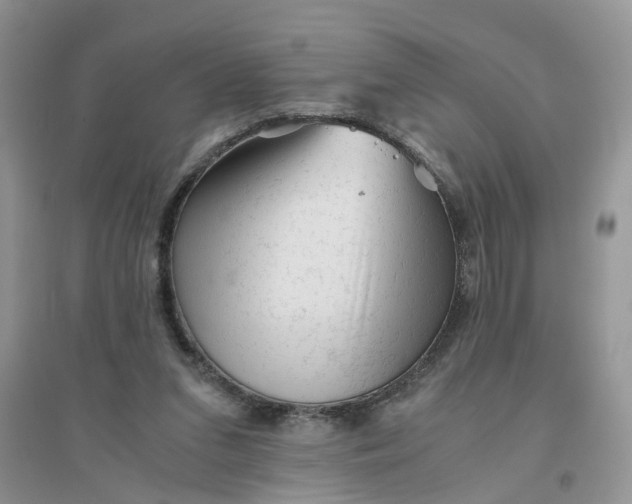 X0000096400207200802071608