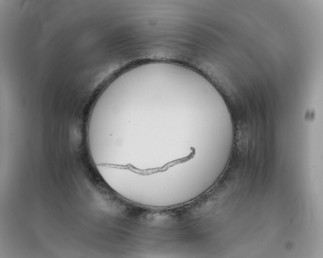 X0000096400208200802071608