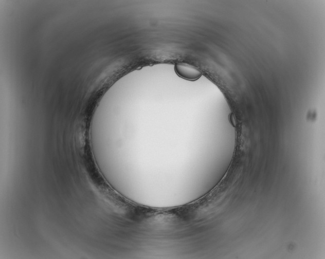 X0000096400210200802071608