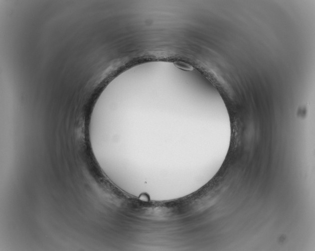 X0000096400212200802071608