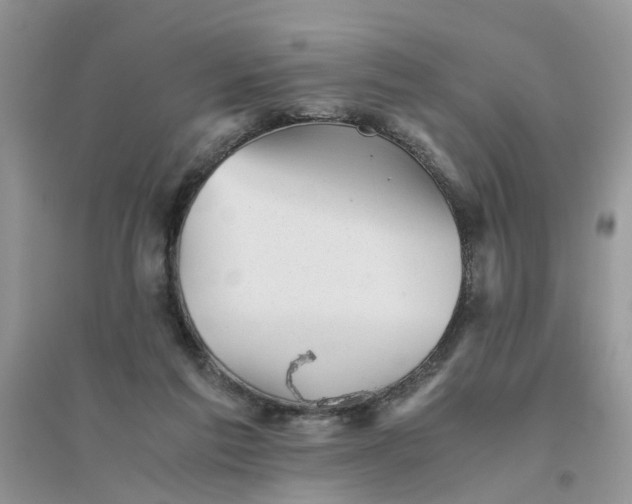 X0000096400213200802071608