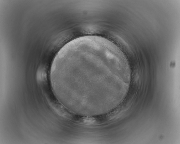 X0000096400214200802071608