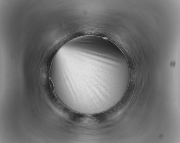 X0000096400215200802071608