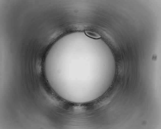 X0000096400216200802071608