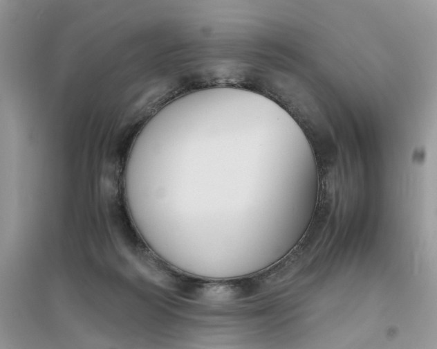 X0000096400218200802071608