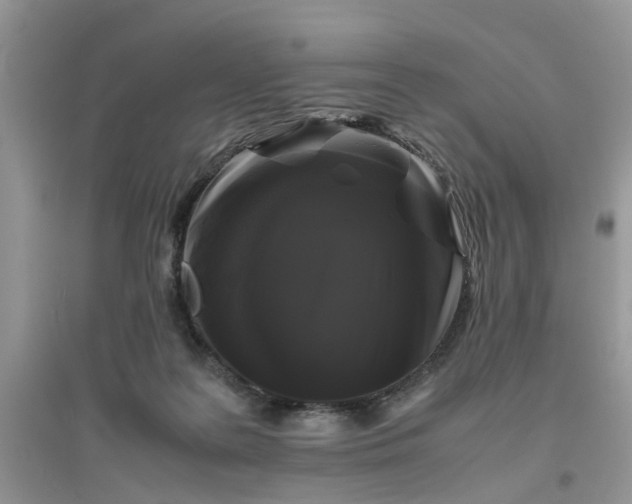 X0000096400219200802071608