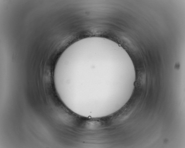 X0000096400220200802071608