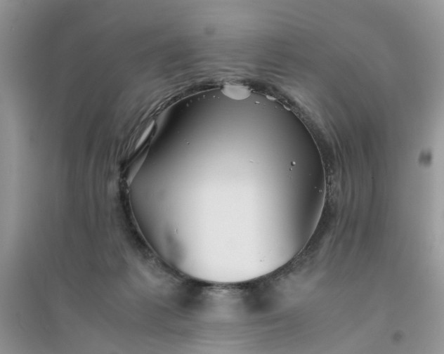 X0000096400221200802071608