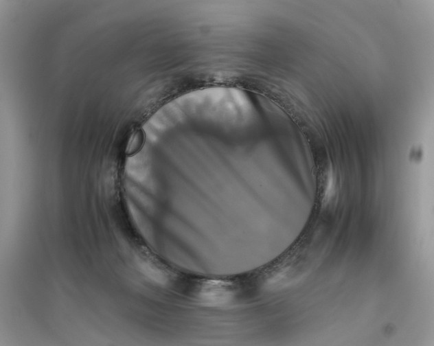 X0000096400222200802071608